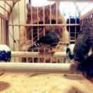 亿霖的个人资料头像