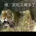 奋发有为山雀hC头像