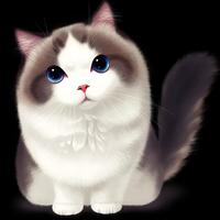 猫猫芭芭拉头像