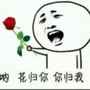 葭月十九的个人资料头像