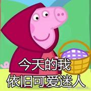 用户12306的个人资料头像