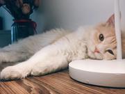 药效还在的个人资料头像