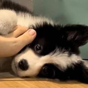 纾寒的个人资料头像