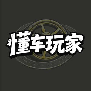 懂车玩家