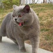 Warrior363的个人资料头像