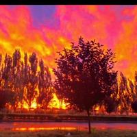 低调小伙5827头像