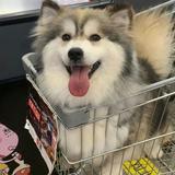 除了空白之外头像