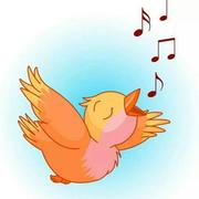 海阔天空7540的个人资料头像