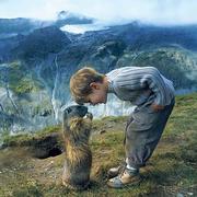 别动有风的个人资料头像