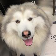 取个特别点的名字的个人资料头像