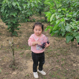 爱思考雨天3c7头像