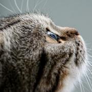 亮亮哥哥的个人资料头像