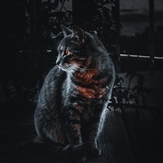 万老师的个人资料头像