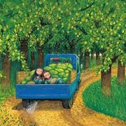 Huru的个人资料头像