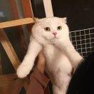 MonsieurFu的个人资料头像