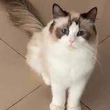 清秋706557头像