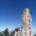 小马哥154220034头像