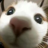 用户7212942397185头像