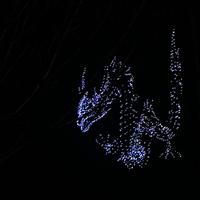 维纳斯艺术头像