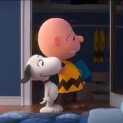 Beravement的个人资料头像