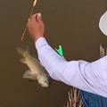 野钓小乐头像