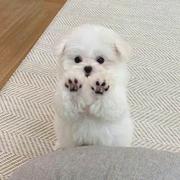 月之痕的个人资料头像