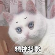 YICONGITSME的个人资料头像