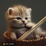 非凡钢琴olS头像