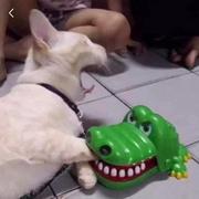 Godzilla323的个人资料头像