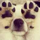 前端W的个人资料头像