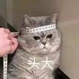 原来是辉火呀挣钱学习版头像