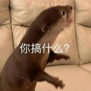 晨曦3882的个人资料头像