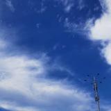 遥遥无期的飞凡头像