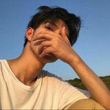 无情的风你在哪头像