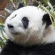 上进的远山QrY · 奔驰A级AMG车主·车龄1年头像