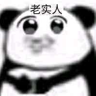 精神百倍说不定头像