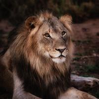 牧霖Zhaoying头像