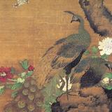 gc502187489头像