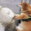 没有Error的个人资料头像