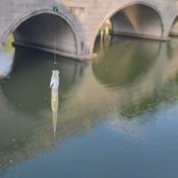 隔壁老王竟然被注册了头像