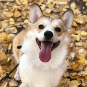 抖腿男孩的个人资料头像