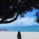 110536的个人资料头像