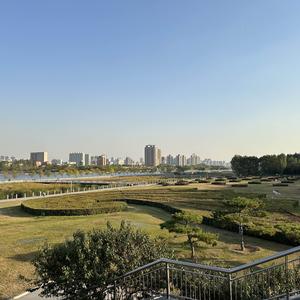 山西农民头像