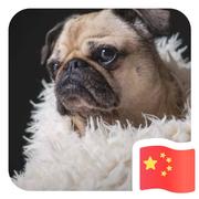 hotspot的个人资料头像