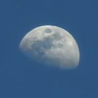 夜航观星头像
