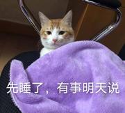 三天捕鲸两天晒网的个人资料头像