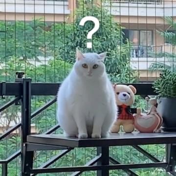 陳迪鹏头像