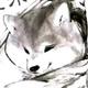 鹿尾狒 · 红旗HS5车主·车龄2年头像