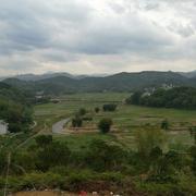 小贝君31810的个人资料头像