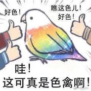 梁羽_的个人资料头像